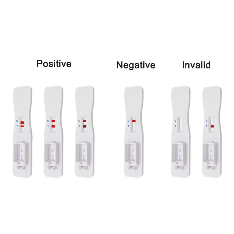 V-CHEKnic wspólnego;2019-nCoV Ag Saliva Rapid Test Card (Immunochromatografia)