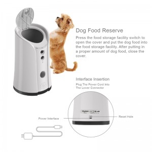 Dozownik leczenia aparatu psa