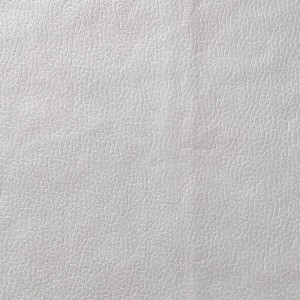 Technologia imitacja skóry serii BNT1936