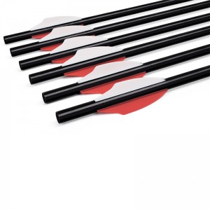 Elong Outdoor 110300-01 20inch Airgun Aluminium Wał Kostka Łucznictwo Arrow Sprzęt do fotografowania