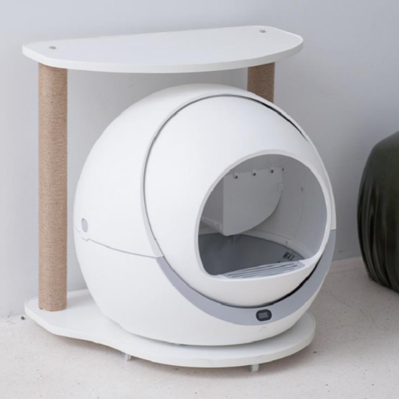 Wifi Automatyczny Cat Miot Box