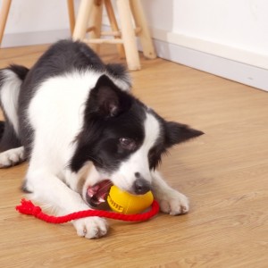 Gumowa wyciekająca przekąska zabawka dla psów