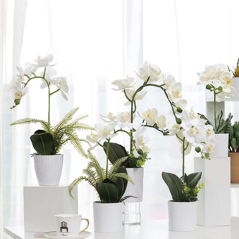 Gorący sprzedawaj prawdziwą dystansową sztuczną orchideą
