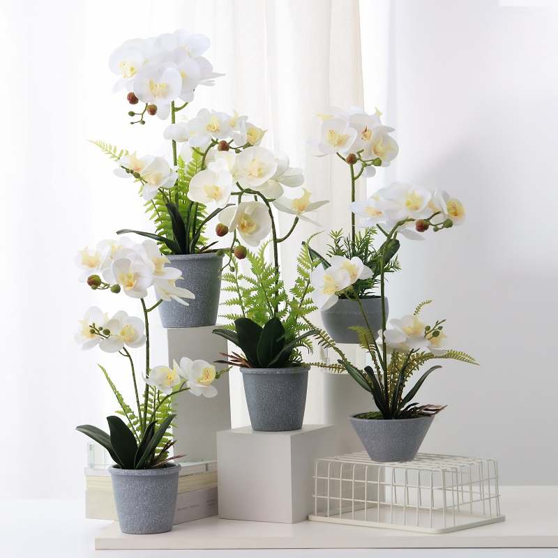 Gorący sprzedawaj prawdziwą dystansową sztuczną orchideą