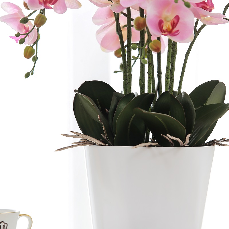 prawdziwa dotknięta sztuczna orchideana sprzedaż