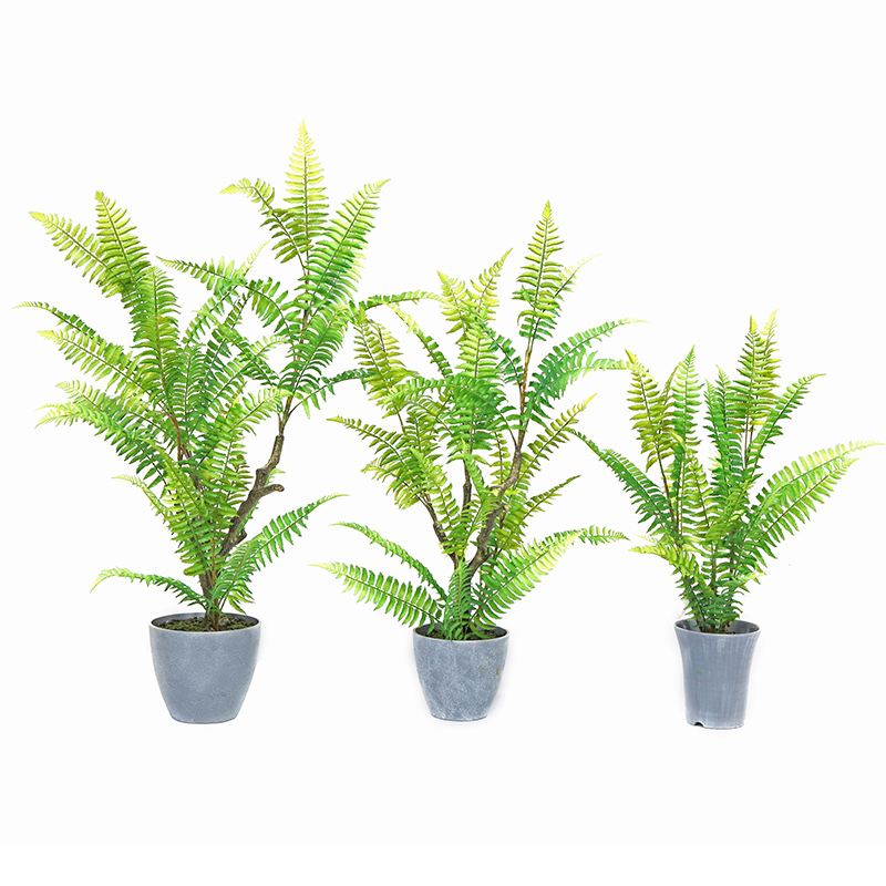 Zielone rośliny, Sztuczne Drzewo Do Kryty Outdoor Home Decoration, Dekoracja centrum handlowego