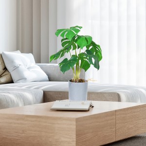 Fabryka bezpośrednio Dostarczanie gorącej sprzedaży Sztuczne zielone dekoracyjne z ładnym wyglądem i prawdziwym dotkniętym uczuciem