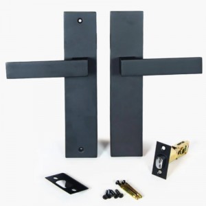 6203 Nowoczesny stopek do drzwi frontowych Załącz