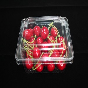 Opakowania na żywność typu clamshell