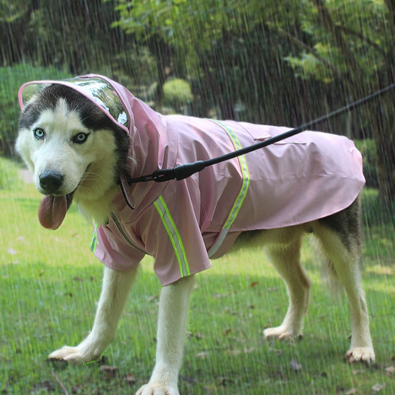Chiny Source Factory 2022 Nowy uaktualniający pies deszczowy pies wodoodporny garnitur psa