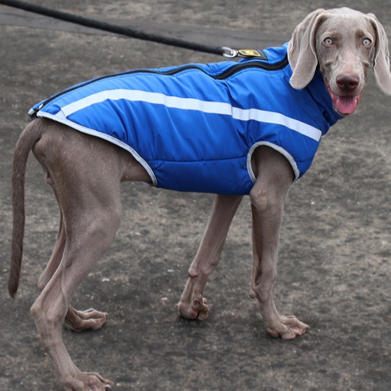 Producent Hurtownie Outdoor Cool Style Wysoce Odbijające Gwinty Dog Kurtka Wodoodporne Płaszcze
