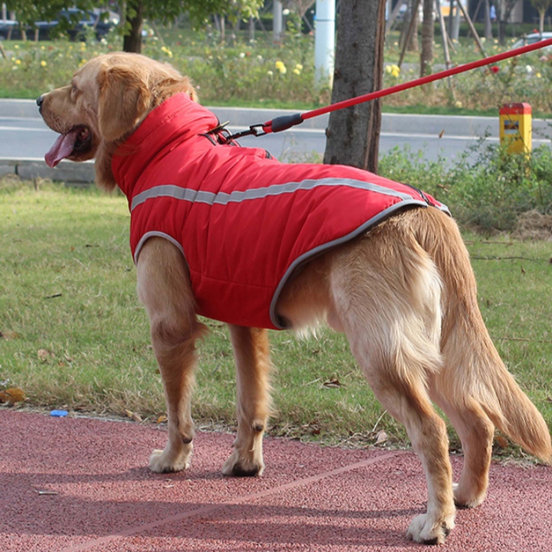 Amazon Top Sprzedawca Spersonalizowany Pies Uprząż Dog Odzież odbijająca oddech dla średnich i dużych psów