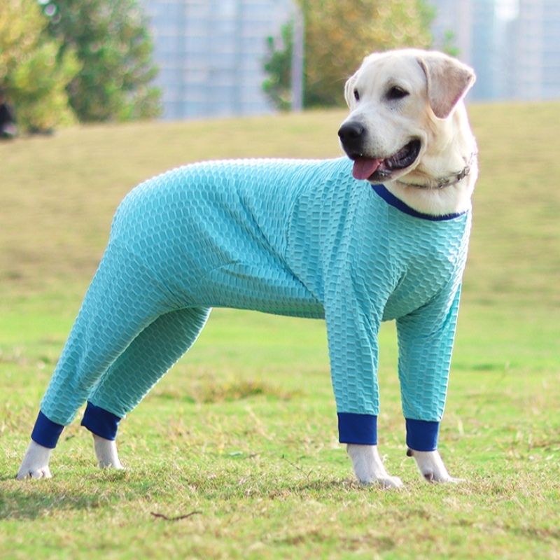 Nowy Design Custom Winter Pet Dog Odzież Nowe Odzież Pet Elastyczny sweter Gorąca Sprzedaż Sweter Pet