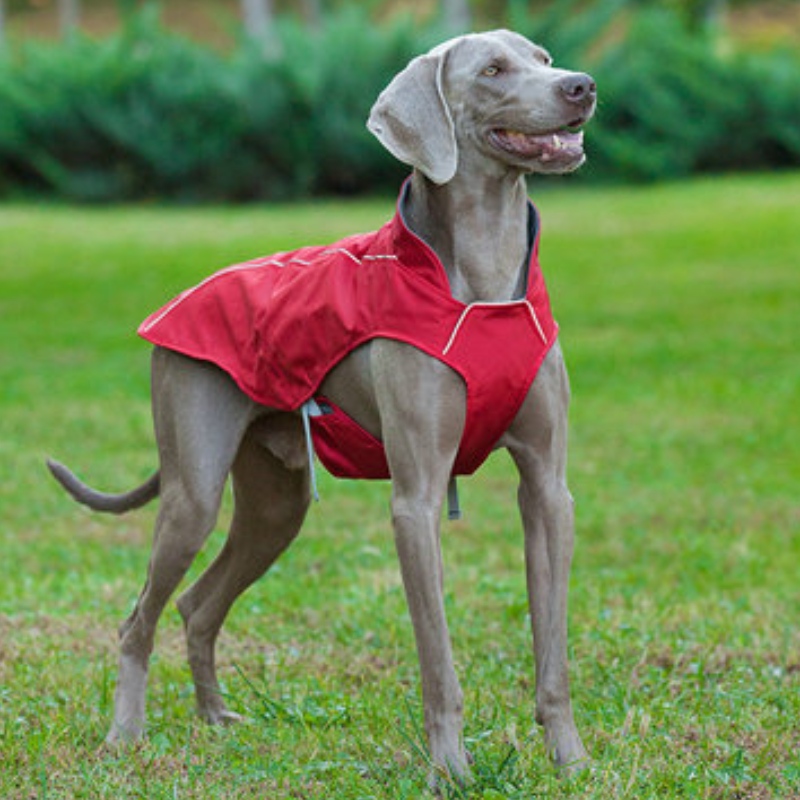 Classic Style Reflective Dog Coat Wodoodporna regulowana zimowa kurtka psa odwracalna lekka