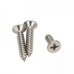 201 stalinierdzewnej Stalowa głowa samogwintująca śruba płaska głowica samogwintująca śruba Custom Cross Self-