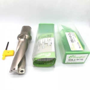 6D u Wierkło wkładka SPMG