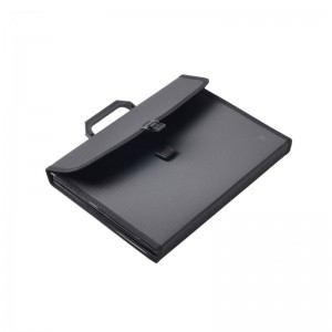 Rozszerzający się folder A4 Rozmiar liter PP Plastic 13 Pockets Multi Pocket Organizer Plik rozszerzalny