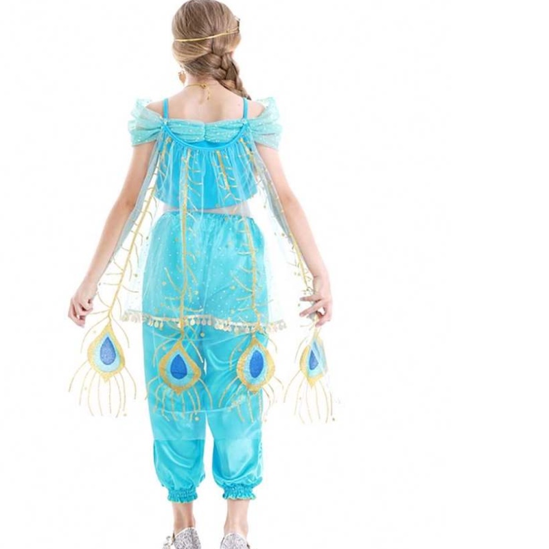 Anime Aladdin and the Magic Lamp Aladdin Cosplay Costume Princess Jasmine Belly Dancer Costume for Girl HCAL-001