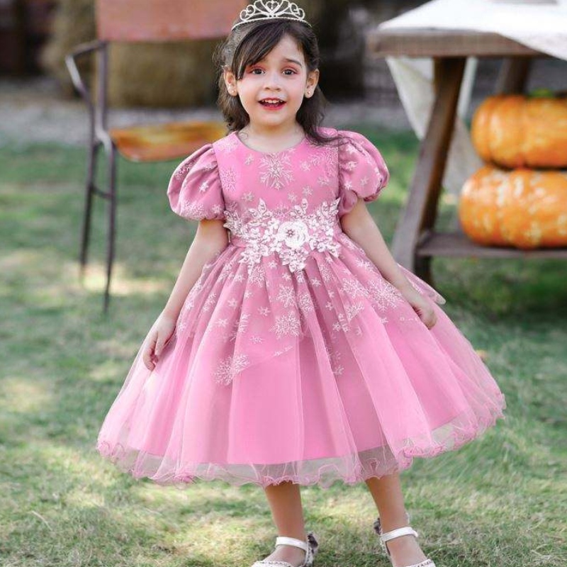 Baige Baby Girl Dyselfs Design Short Sleeve Performance Dance Dress Dress Children's Party Wear Suknia L2028xz