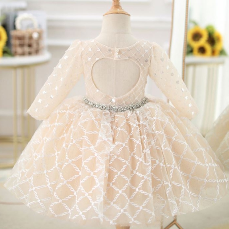 BAIGE OEM DZIECI SUKIENKA Księżniczka Księżniczka Fluffy Yarn Flower Piano Costume Gospoda