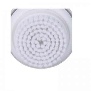 Podstawowy elektryczny mini szczotkana twarz