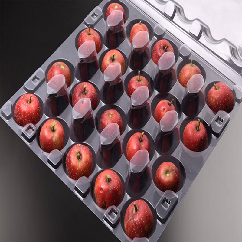 Przezroczyste plastikowe plastikowe pudełko owocowe CLAMSHell
