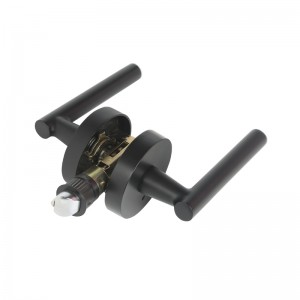 R7506 Black Door Hever znowoczesnym współczesnym, szczupłym projektem do prywatności w domowej sypialni lub łazience, bezkluczycy