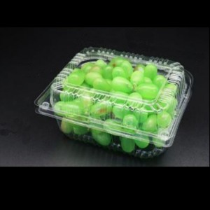 Pudełko owocowe z pokrywką 195*155*85 mm HGF-650