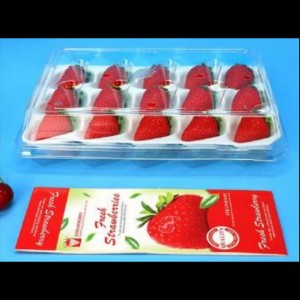 Strawberry Box (15 truskawek) 225*120*40 mm cm-15