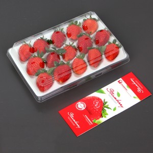 Strawberry Box (15 truskawek) 225*120*40 mm cm-15