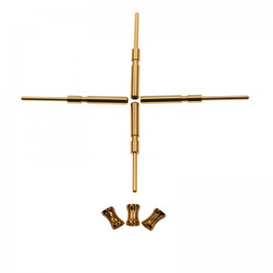 Koronna szpilka i gniazdo