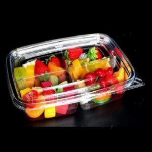 Cztery-compartment Salad Box dolne 245*175*45 mm HGF-FG4