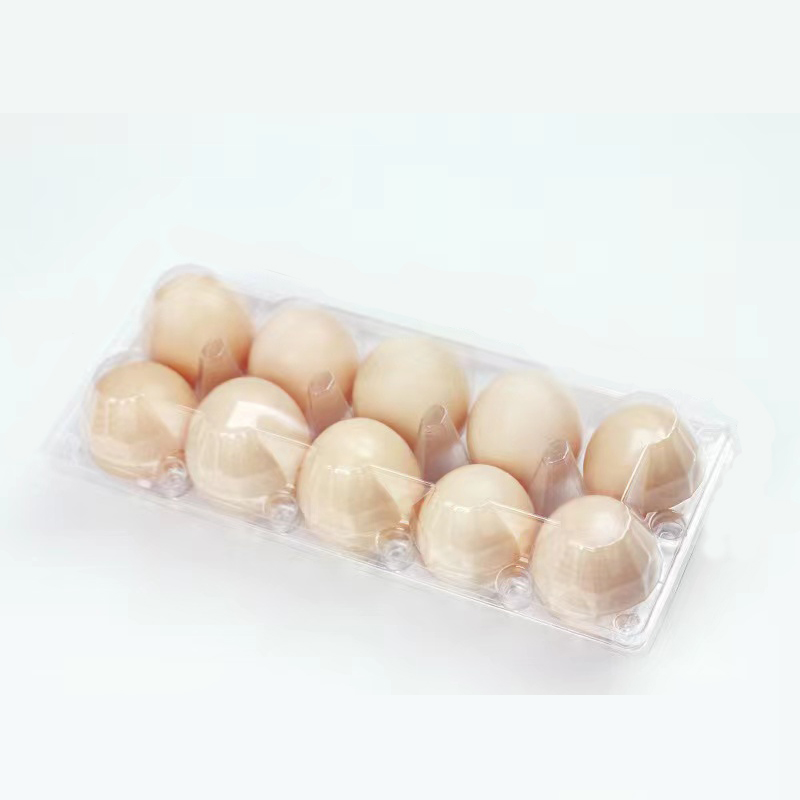 Taca jaja (średnia) 240*100*63 mm 10 rowków