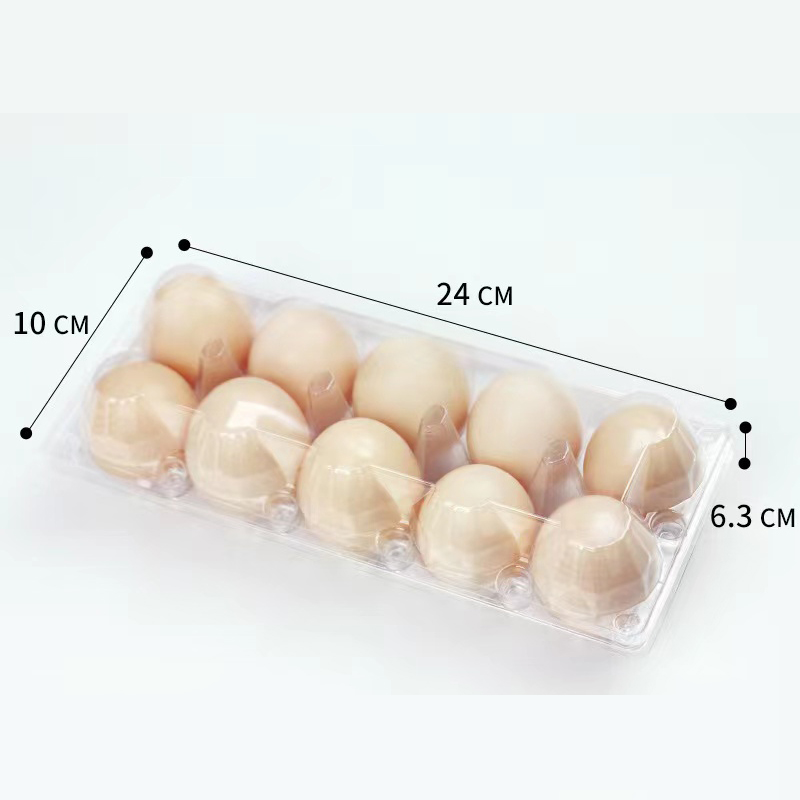 Taca jaja (średnia) 240*100*63 mm 10 rowków