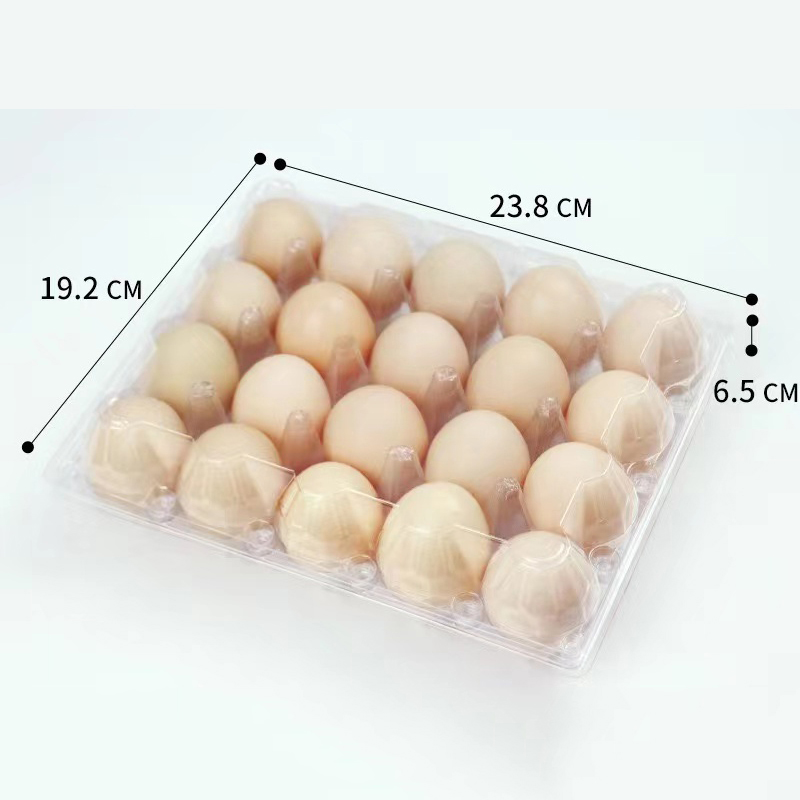 Taca jaja 238*192*65 mm 20 rowków