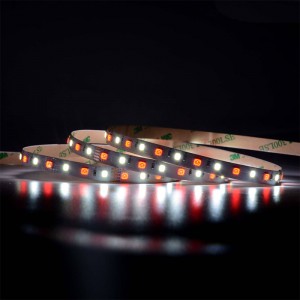 5050 60LEDS/m RGBW LED pasek