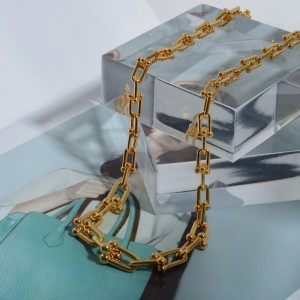 Gruby łańcuch naszyjnik kobiety Europa i Stany Zjednoczone w lekkim luksusowym niszowym łańcuchu klamry obojczyka