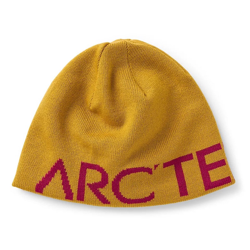 niestandardowe logo logo męskie czapki czapki wełniane zimowe czapki