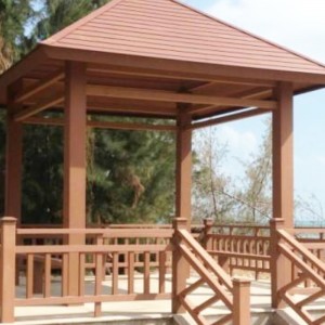 Forma wytłaczania z tworzywa sztucznego z drewniałem PE z miasta Huangshi