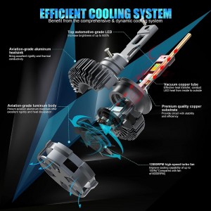 Żarówki reflektorów LED D4S/r