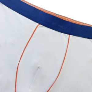 Boże Narodzenie świąteczne bokser