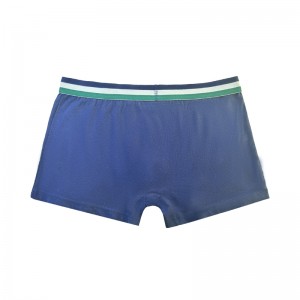 Dostosuj bieliznę Mężczyznę Bożego Narodzenia Bokser