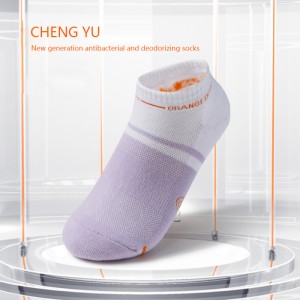 Four Seasons Women Socks