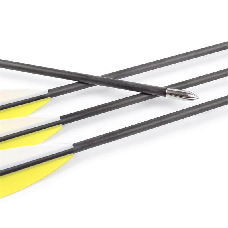 1666165227.jpg 3.2mm 9 carbon arrow.jpg